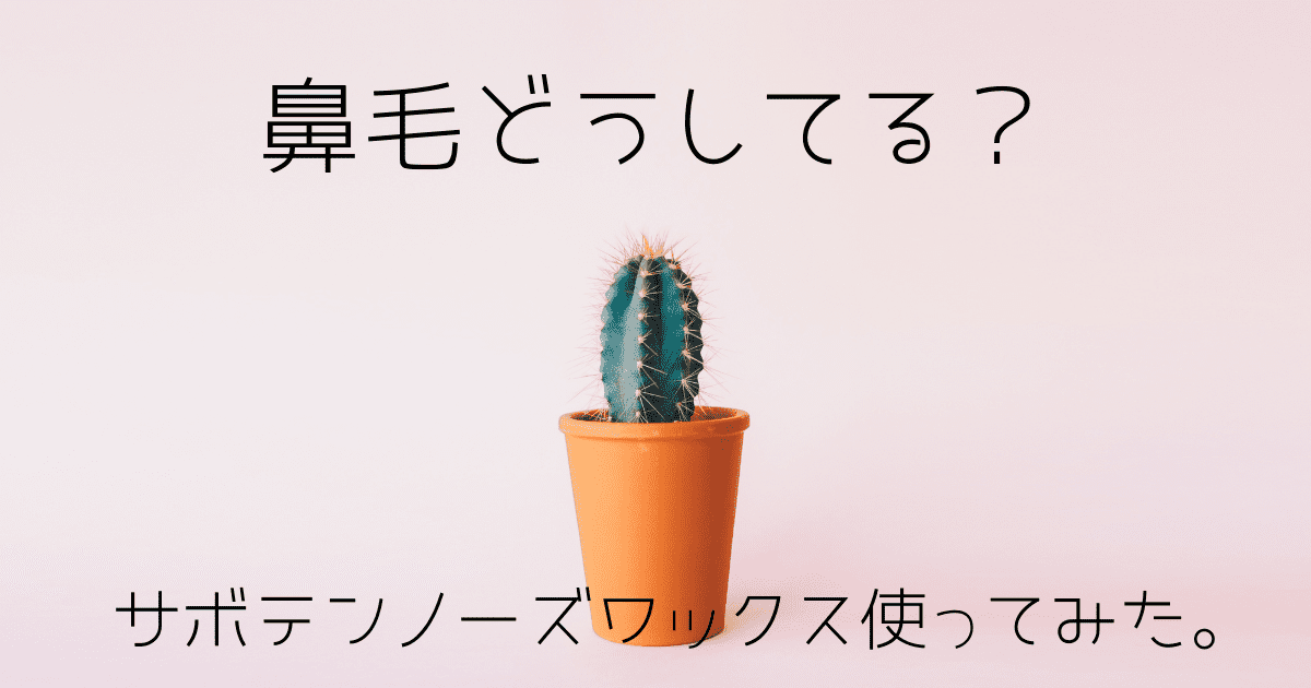 薬局に売ってない サボテンノーズワックスで清潔感のある大人に 全力主婦力